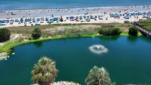 Una playa con muchos sombrillas y gente.