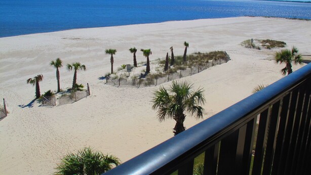 Una playa con palmeras y una valla.