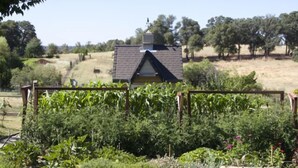 A rural landscape with a small house, a garden with various plants, and a hay bale. - AUBURN COTTAGE POOL HOUSE, SPA AND GROUNDS G & Christmas Now Open 5 day min (Auburn)