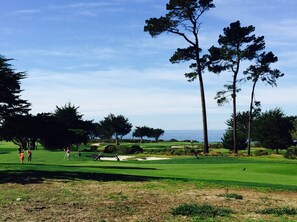 Golf - Pebble Beach house for Magnificent Ocean & Perfect Golf, on The Old 17 Miles Dr. (Pebble Beach)