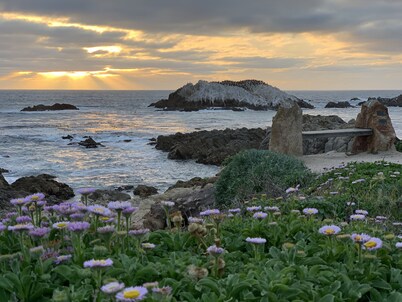 Pebble Beach house for Magnificent Ocean & Perfect Golf, on The Old 17 Miles Dr.