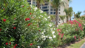 A building with a modern architectural design, surrounded by lush greenery and flowering plants. - Luxury Ocean Village Beach Condo with 5 Star Reviews with Wifi and all Extras (Fort Pierce)