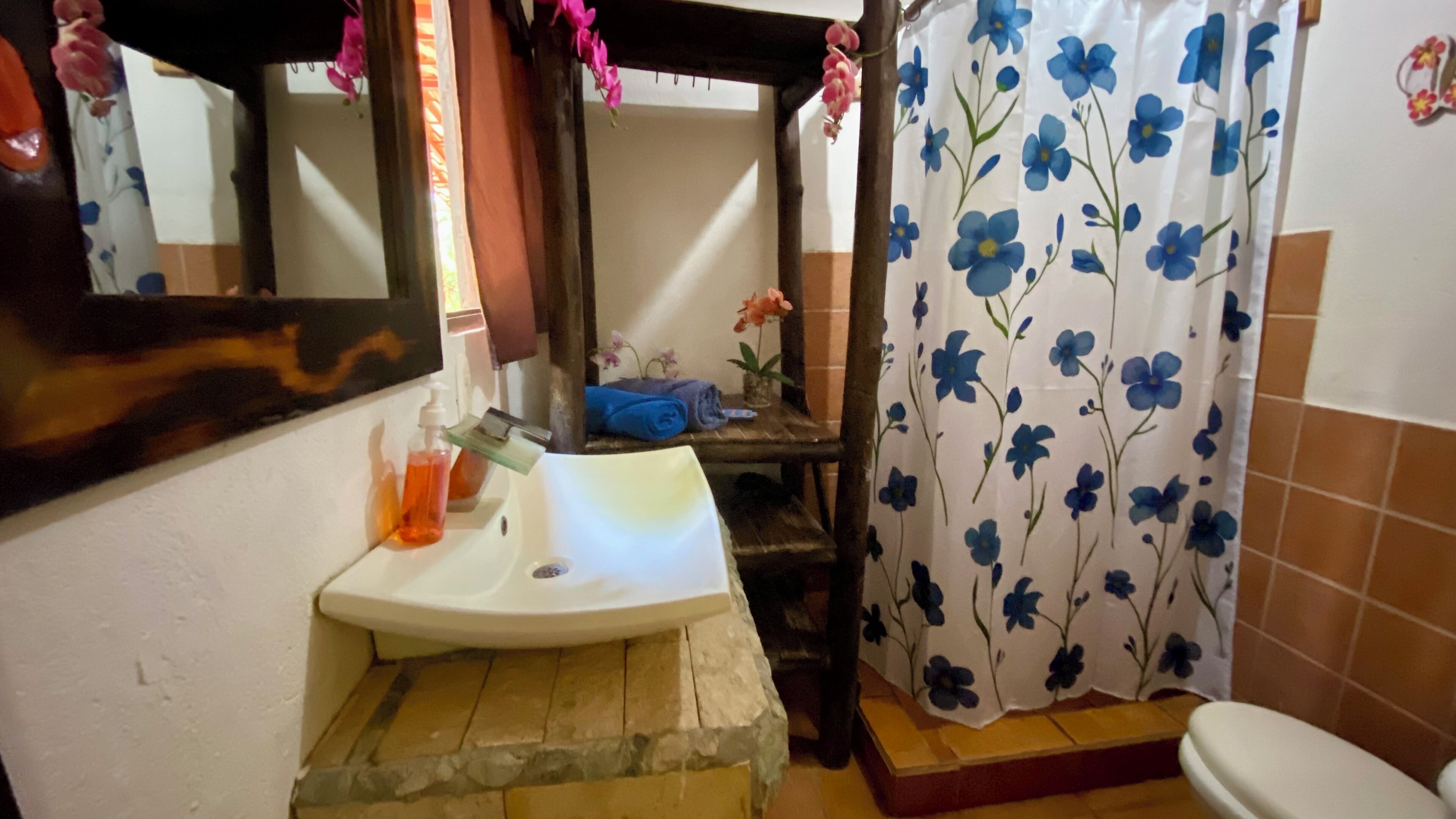 Une salle de bain avec un lavabo en pierre, un miroir, un rideau de douche orné de fleurs bleues et une petite étagère contenant des articles de toilette.