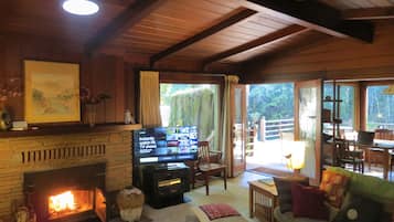 TV connectée, cheminée, lecteur de DVD, livres