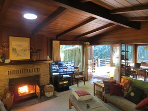 Smart TV, fireplace, DVD player, books