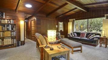 TV connectée, cheminée, lecteur de DVD, livres