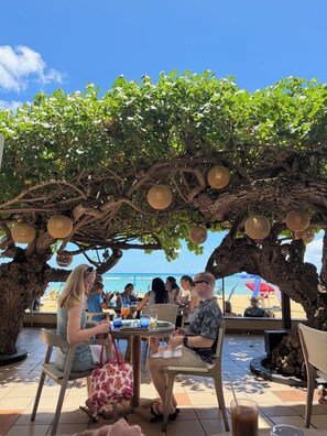 An outdoor seating area with tables and chairs under a tree, overlooking a beach.