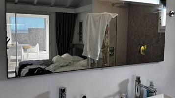 Une salle de bain avec un grand miroir, deux lavabos et une douche.