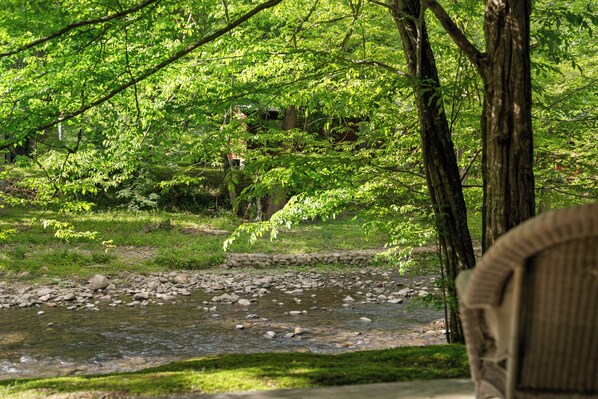 A river with rocks, surrounded by lush greenery and trees. - STUNNING CABIN, TROUT STREAM, HUGE GAMEROOM, HOT TUB,FIRE PIT,TUBING,& MEMORIES! (Cosby)