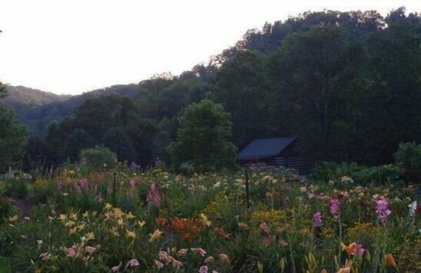 Terrain de l’hébergement 