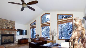 Smart TV, fireplace, DVD player, books