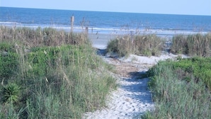 Un sentier de sable qui longe la plage et mène à l’océan, bordé de hautes herbes.