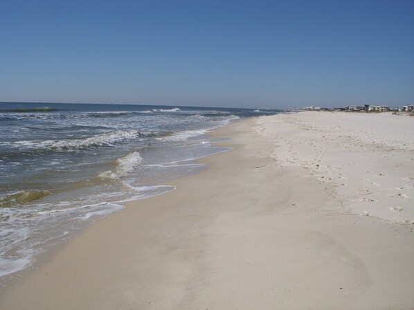 Une plage avec un rivage sablonneux et des vagues.