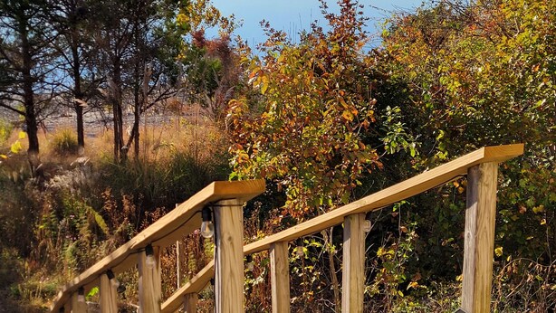 Un escalier en bois mène à une plateforme d’observation surplombant un lac paisible, entouré d’arbres et d’arbustes.