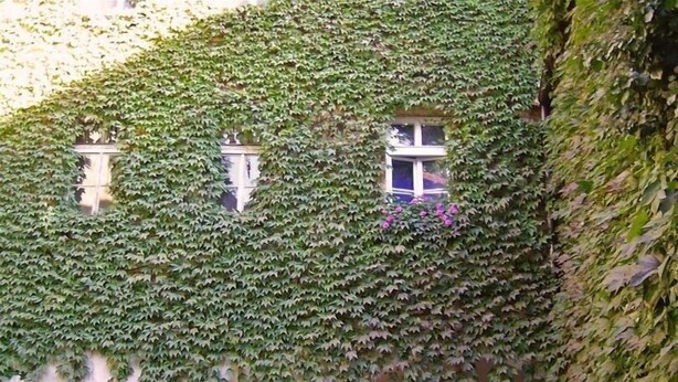 Exterior detail - 4 Room Apt. by Old Town Square in Historic Center, next to Garden (Prague 1)