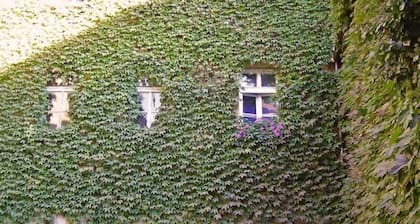 4 Room Apt. by Old Town Square in Historic Center, next to Garden