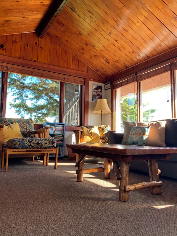 TV connectée, cheminée, lecteur de DVD, vidéothèque