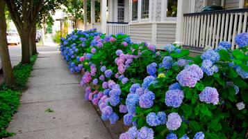 Jardines del alojamiento