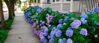 Stunning! Vacation Rentals Ocean Grove & Vacation Rentals Asbury Park