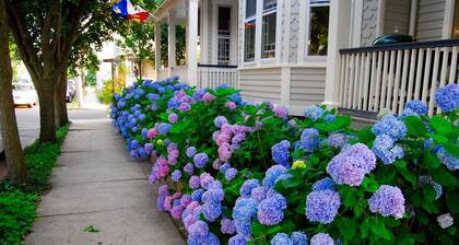 Stunning! Vacation Rentals Ocean Grove & Vacation Rentals Asbury Park