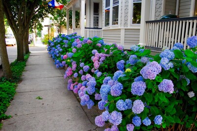 Stunning! Vacation Rentals Ocean Grove & Vacation Rentals Asbury Park