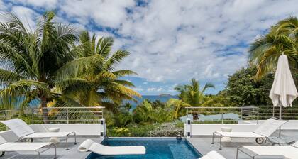 ST BART LUXURY VILLA SKRUTTEN, WITH OCEAN VIEW AND CONTEMPORARY FURNISHING