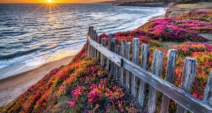 The Bluffs at Sea Ranch - Upea pääsy merelle - Nopea langaton internetyhteys - lähellä kaupunkia