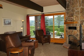 TV connectée, cheminée, lecteur de DVD, livres