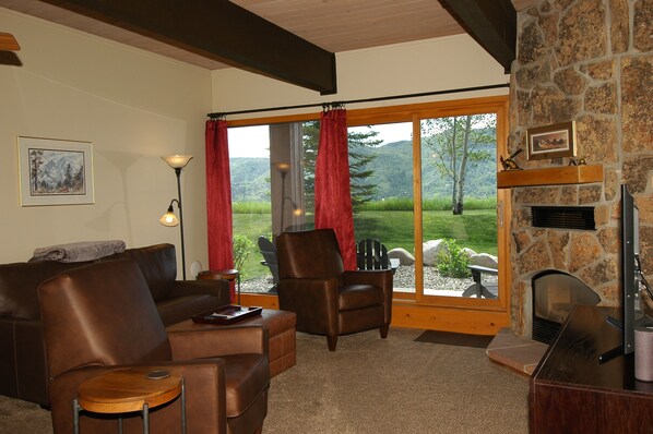 Smart TV, chimenea, reproductor de DVD y libros 