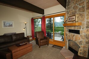 Smart TV, chimenea, reproductor de DVD y libros 