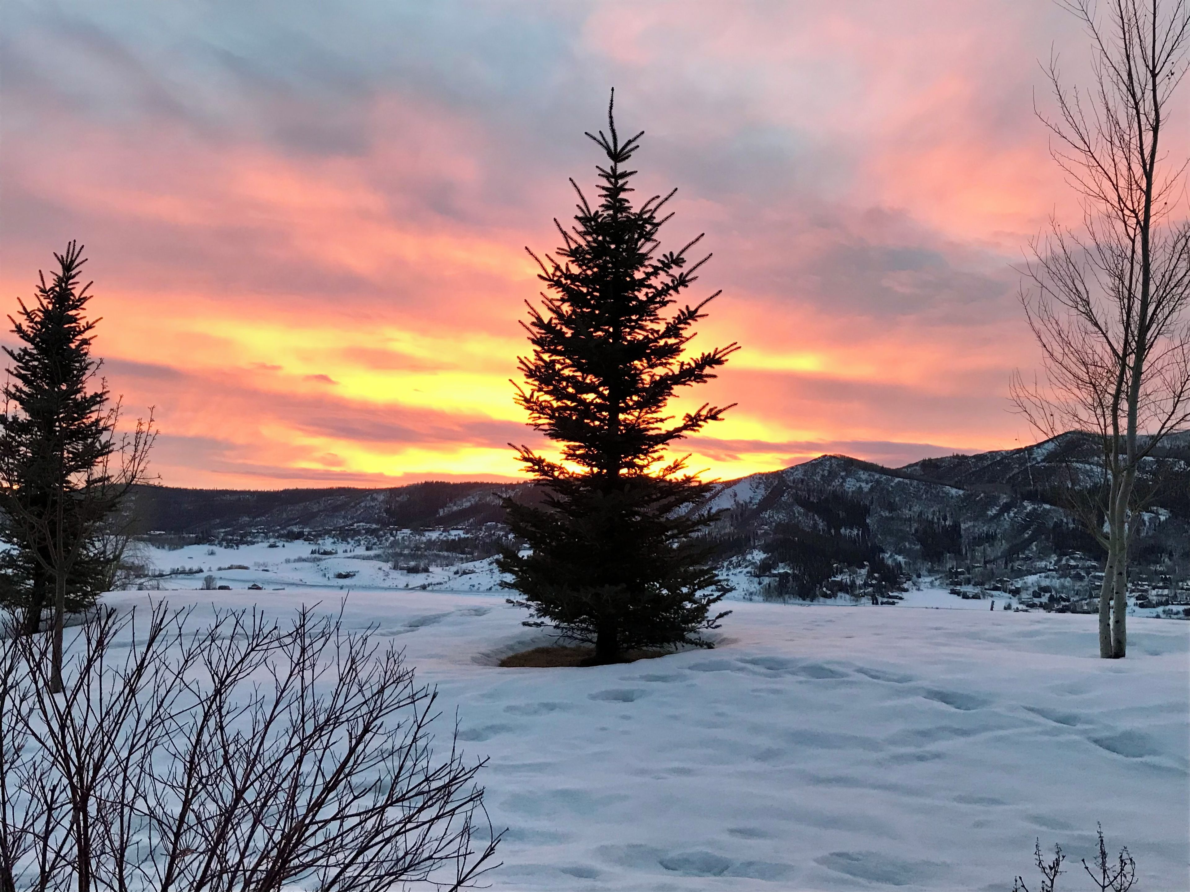 Gorgeous Winter Backyard Sunsets