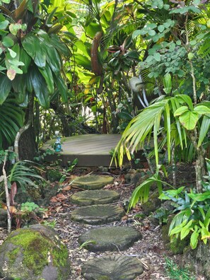 Un sendero de piedra serpentea por un exuberante jardín con diversas plantas tropicales y un banco.