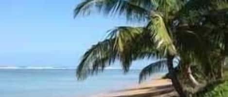 靠近海滩、沙滩椅、沙滩毛巾