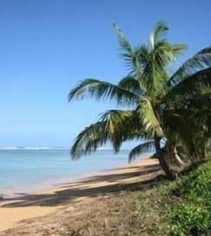 Beach nearby, sun loungers, beach towels - Beautiful Plumeria Cottage-Anini Beach Plantation Style Home  (Anini Beach)