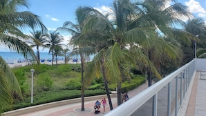 A beachside promenade with palm trees, a pathway, and a view of the beach with umbrellas. - SOBE ~ ART DECO DISTRICT ~ SOUTH BEACH ~ RITZ CARLTON       Condo on the Water (Miami Beach)