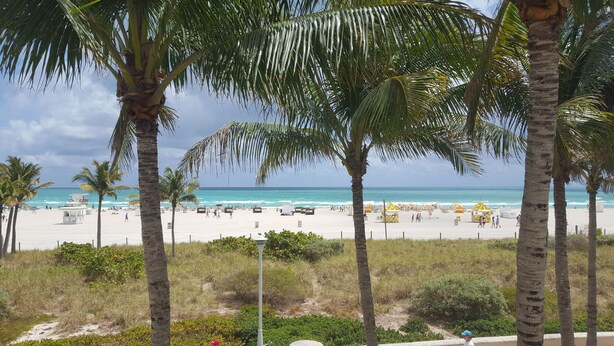 A beach with palm trees, beach umbrellas, and a lifeguard tower. - SOBE ~ ART DECO DISTRICT ~ SOUTH BEACH ~ RITZ CARLTON       Condo on the Water (Miami Beach)