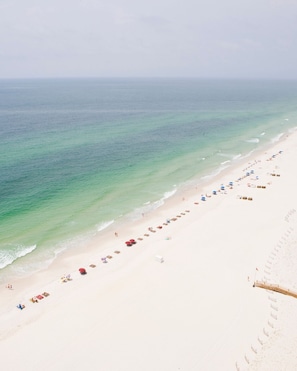 Sun-loungers - 3BR/3BA - Beach, pool, lagoon front and MORE!  (Gulf Shores)