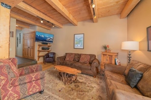 Smart TV, fireplace, DVD player, books