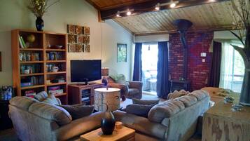 Smart-TV, Kamin, DVD-Player, Kinderspielzeug