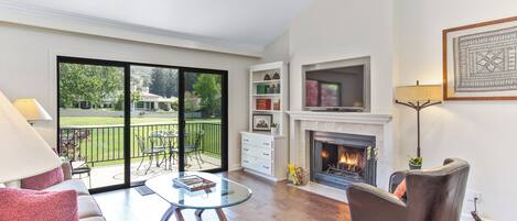 Televisie, een open haard, een dvd-speler en boeken