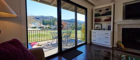 Télévision, cheminée, lecteur de DVD, livres