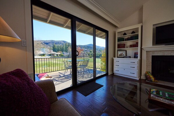 Televisión, chimenea, reproductor de DVD y libros