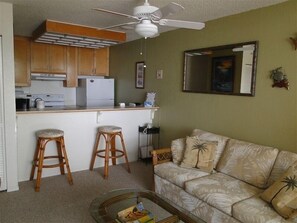 TV, DVD player, video library, stereo