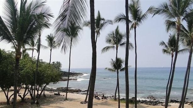 Ein Strand mit Palmen und einer felsigen Küste.