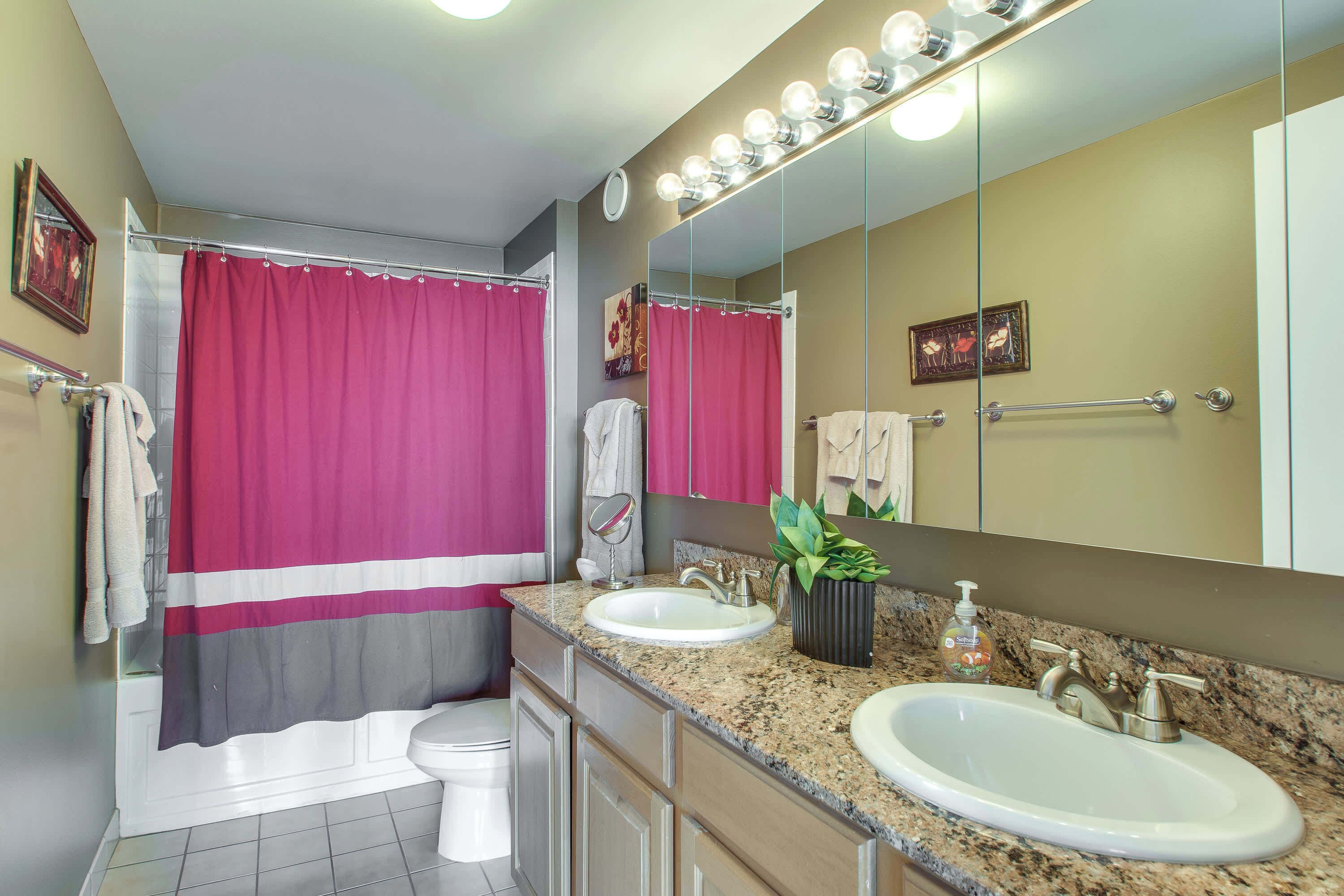 A bathroom with a shower, two sinks, a mirror, and a potted plant.