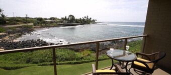 Condo rénové face à l'océan avec climatisation, regarder les tortues de mer de notre véranda