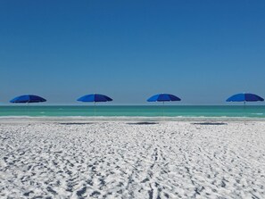Four evenly spaced blue beach umbrellas stand on white sand beside turquoise ocean waters under a clear sky. - Luxury townhome steps away from Siesta Key Village and Beach! (Siesta Key)