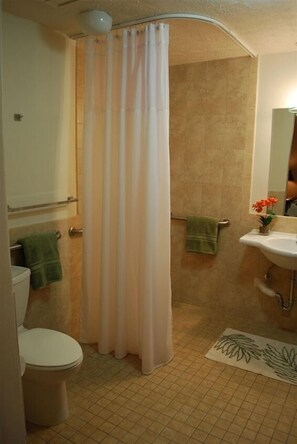 Secadora de cabello, toallas, jabón, papel de baño 