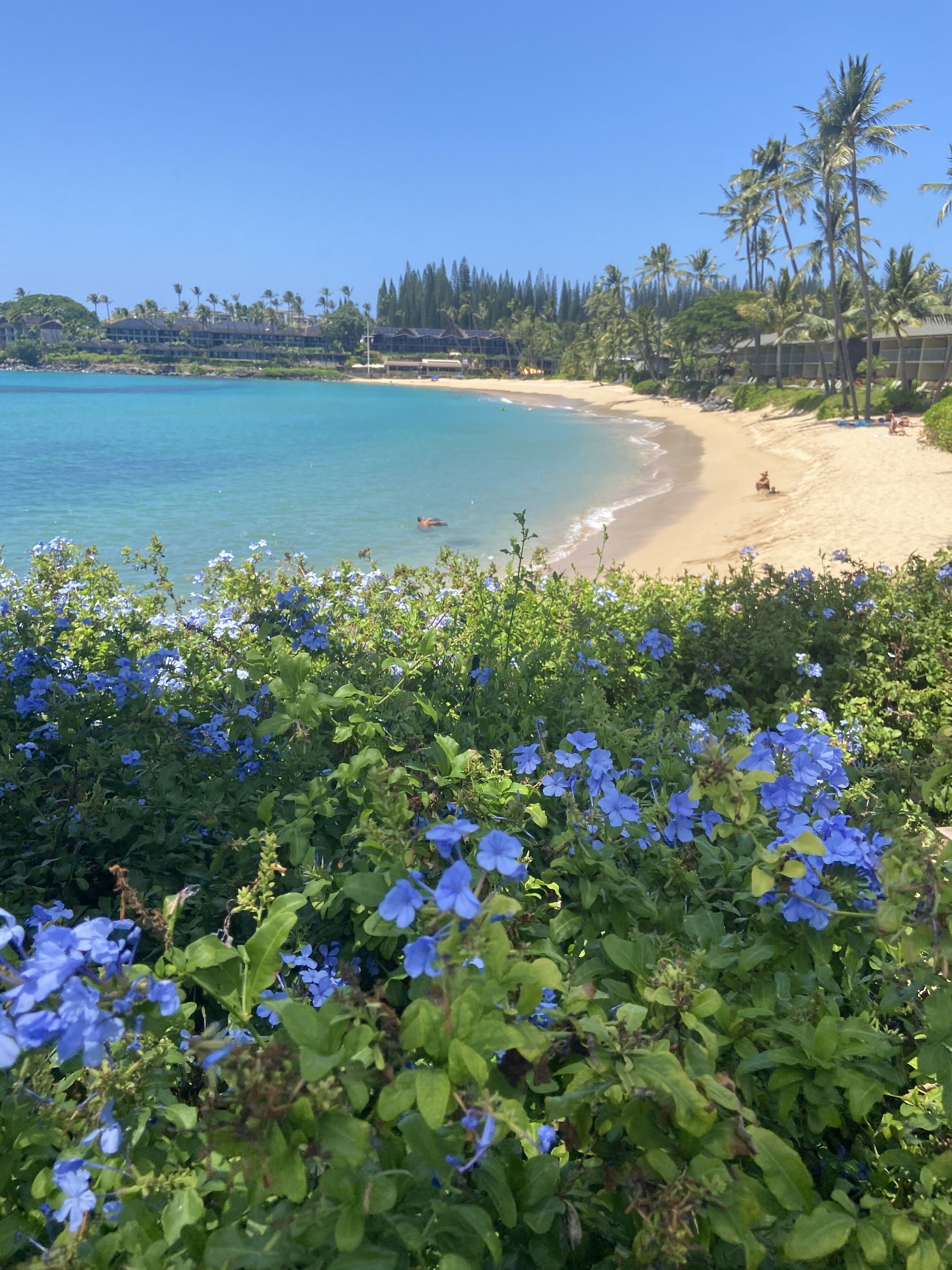 在海滩、沙滩椅