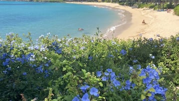 Aan het strand, ligstoelen aan het strand